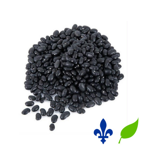Haricots noirs du Québec
